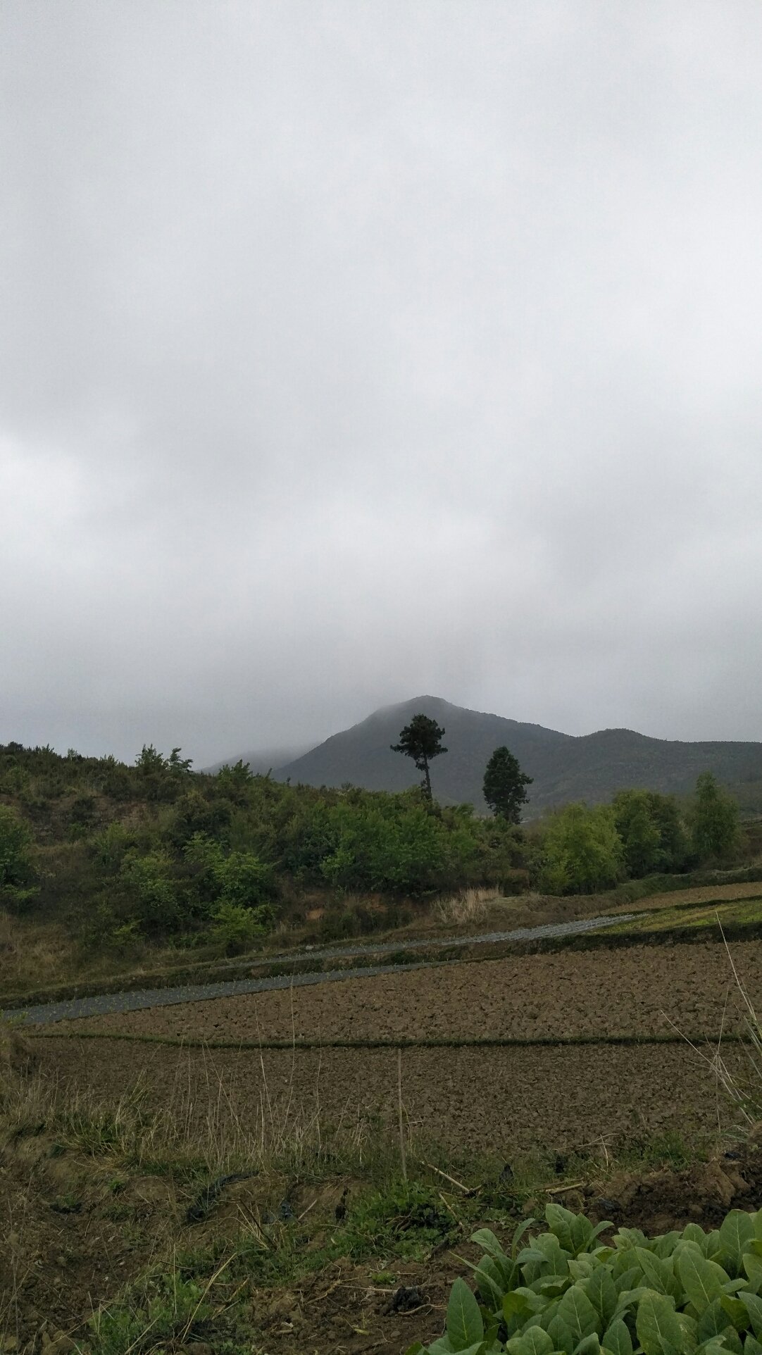 康玉乡天气预报更新通知