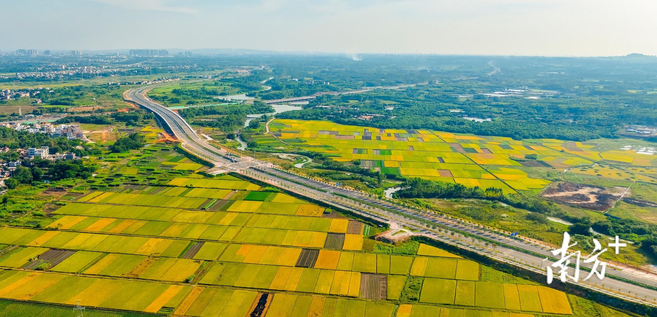 遂溪县公路运输管理事业单位招聘启事概览