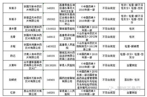 聊城市食品药品监管局新项目，守护食品安全，助力产业健康繁荣